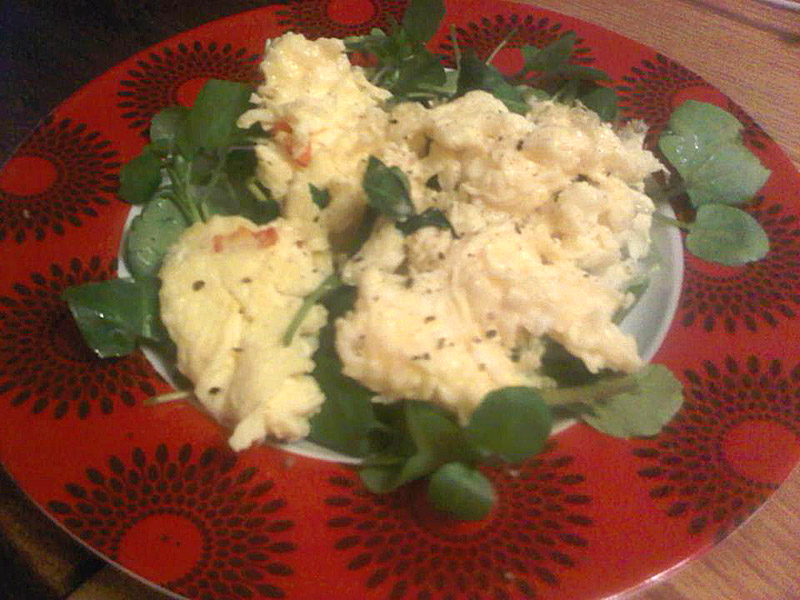 Scrambled eggs on a bed of watercress